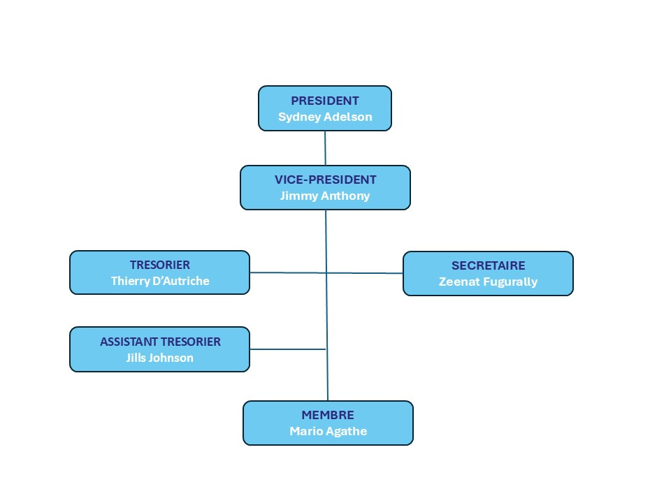 safire structure_Page_3